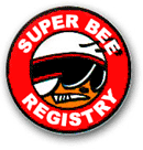 Superbee_Registry.gif